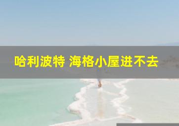 哈利波特 海格小屋进不去